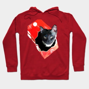 Cola Cat Hoodie